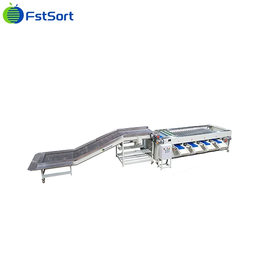 Fully Automatic Grading Packing Line For Limes Dates high quality