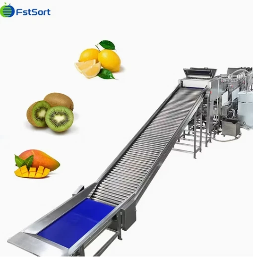 FstSort Automatic Mango Weight Processing Line high quality